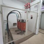 WhatsApp Image 2024-12-06 at 13.09.26