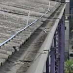 WhatsApp Image 2024-12-06 at 13.11.39 (1)