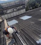 WhatsApp Image 2024-12-06 at 13.11.43