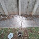 WhatsApp Image 2024-12-06 at 13.13.30